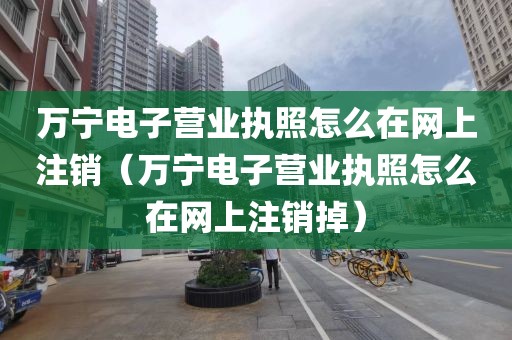 万宁电子营业执照怎么在网上注销（万宁电子营业执照怎么在网上注销掉）