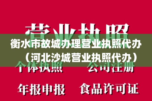 衡水市故城办理营业执照代办（河北沙城营业执照代办）