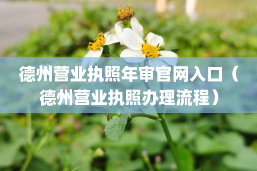 德州营业执照年审官网入口(德州营业执照办理流程)