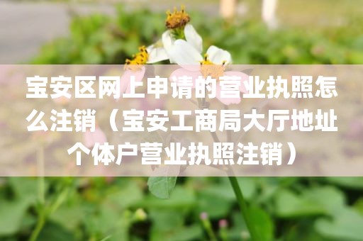 宝安区网上申请的营业执照怎么注销(宝安工商局大厅地址个体户营业执照注销)