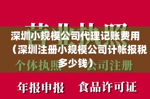 深圳小规模公司代理记账费用（深圳注册小规模公司计帐报税多少钱）