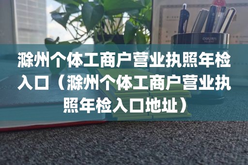 滁州个体工商户营业执照年检入口（滁州个体工商户营业执照年检入口地址）