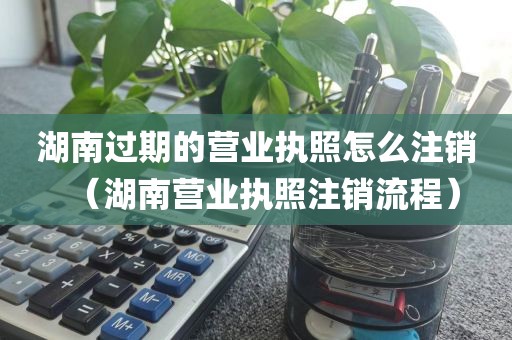 湖南过期的营业执照怎么注销（湖南营业执照注销流程）