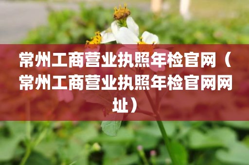 常州工商营业执照年检官网（常州工商营业执照年检官网网址）