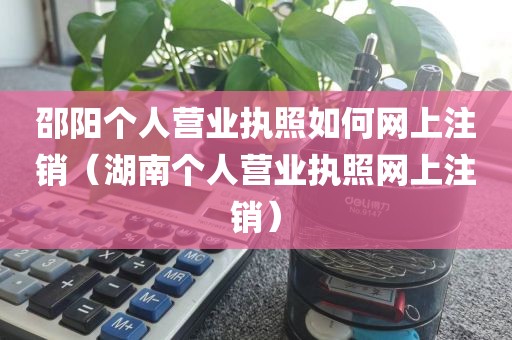 邵阳个人营业执照如何网上注销（湖南个人营业执照网上注销）