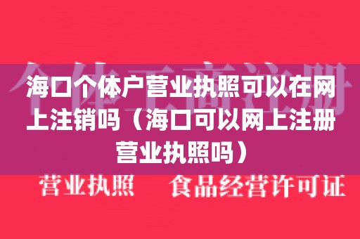 海口个体户营业执照可以在网上注销吗（海口可以网上注册营业执照吗）