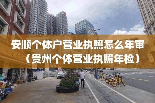 安顺个体户营业执照怎么年审（贵州个体营业执照年检）