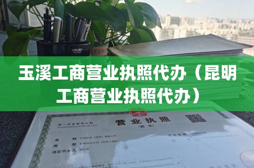 玉溪工商营业执照代办（昆明工商营业执照代办）
