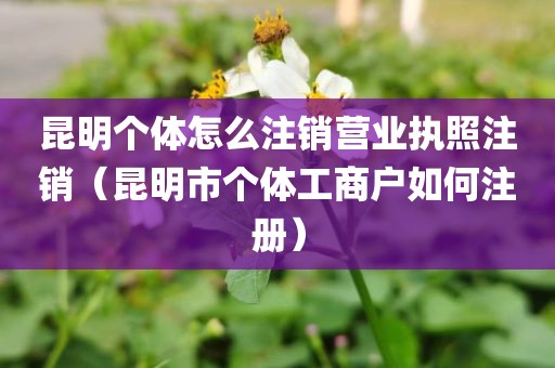 昆明个体怎么注销营业执照注销（昆明市个体工商户如何注册）