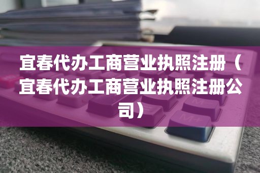 宜春代办工商营业执照注册（宜春代办工商营业执照注册公司）