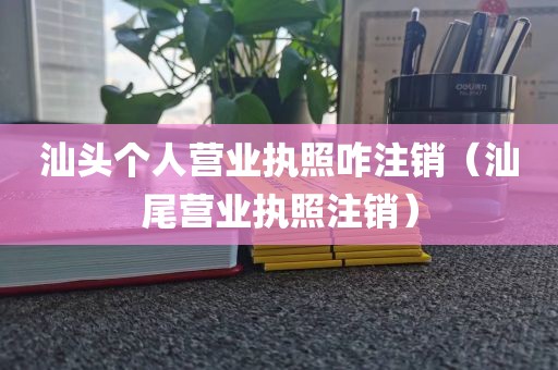 汕头个人营业执照咋注销（汕尾营业执照注销）