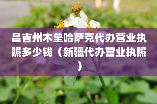 昌吉州木垒哈萨克代办营业执照多少钱(新疆代办营业执照)