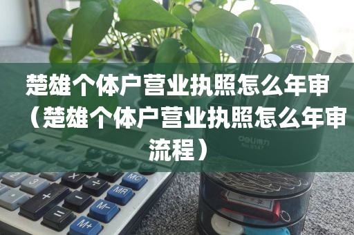 楚雄个体户营业执照怎么年审（楚雄个体户营业执照怎么年审流程）