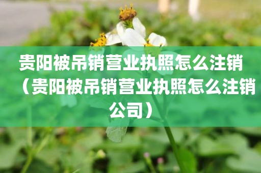 贵阳被吊销营业执照怎么注销（贵阳被吊销营业执照怎么注销公司）