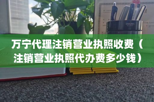 万宁代理注销营业执照收费（注销营业执照代办费多少钱）