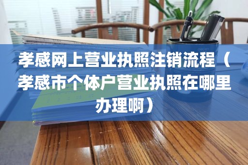孝感网上营业执照注销流程(孝感市个体户营业执照在哪里办理啊)