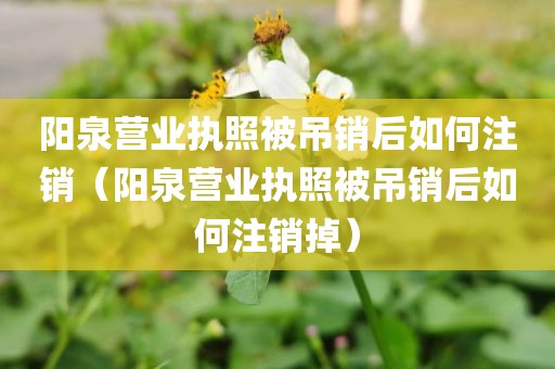 阳泉营业执照被吊销后如何注销（阳泉营业执照被吊销后如何注销掉）