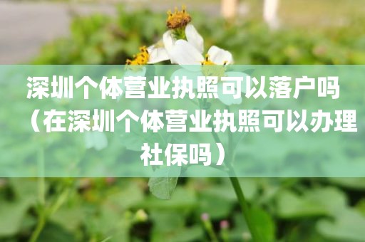 深圳个体营业执照可以落户吗（在深圳个体营业执照可以办理社保吗）