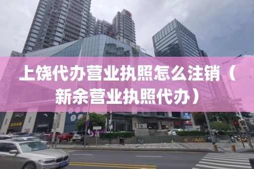 上饶代办营业执照怎么注销(新余营业执照代办)