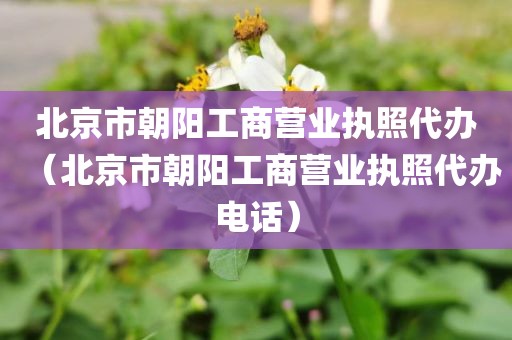 北京市朝阳工商营业执照代办（北京市朝阳工商营业执照代办电话）