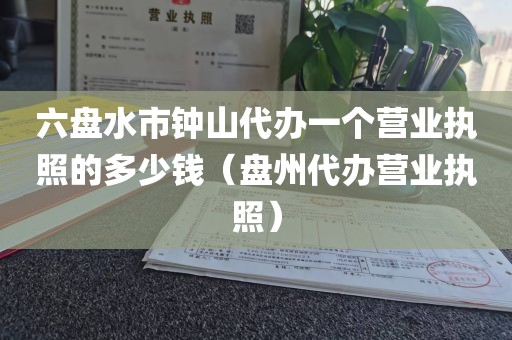 六盘水市钟山代办一个营业执照的多少钱（盘州代办营业执照）