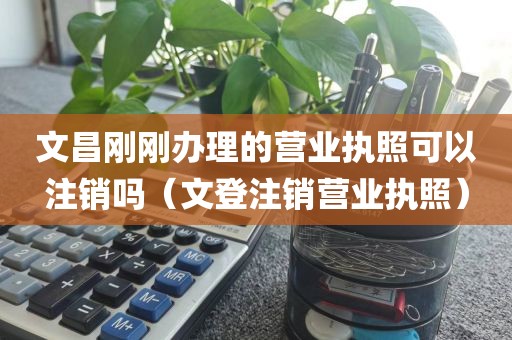文昌刚刚办理的营业执照可以注销吗（文登注销营业执照）
