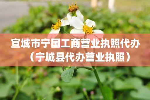宣城市宁国工商营业执照代办（宁城县代办营业执照）