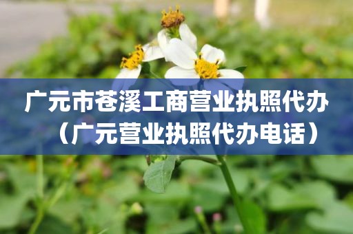 广元市苍溪工商营业执照代办（广元营业执照代办电话）