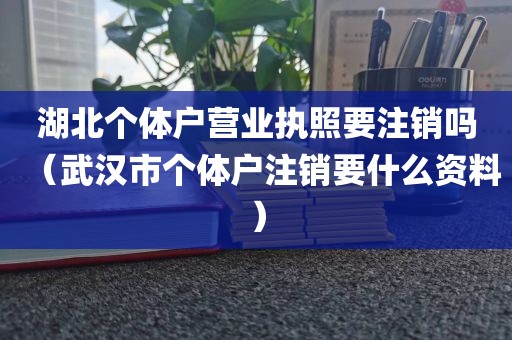 湖北个体户营业执照要注销吗（武汉市个体户注销要什么资料）