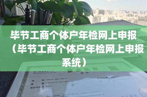 毕节工商个体户年检网上申报（毕节工商个体户年检网上申报系统）
