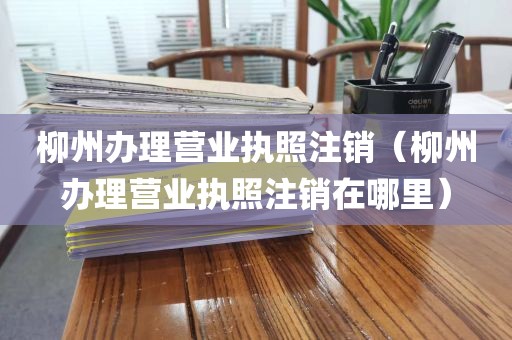 柳州办理营业执照注销(柳州办理营业执照注销在哪里)