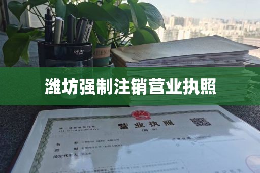 潍坊强制注销营业执照