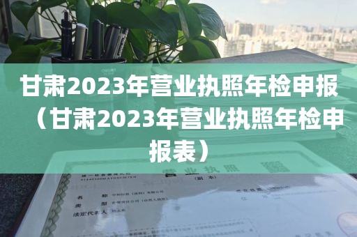 甘肃2023年营业执照年检申报（甘肃2023年营业执照年检申报表）