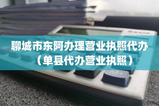 聊城市东阿办理营业执照代办(单县代办营业执照)