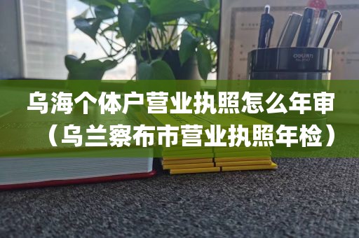 乌海个体户营业执照怎么年审（乌兰察布市营业执照年检）