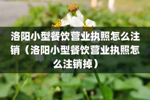 洛阳小型餐饮营业执照怎么注销（洛阳小型餐饮营业执照怎么注销掉）