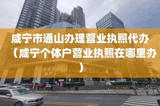 咸宁市通山办理营业执照代办(咸宁个体户营业执照在哪里办)