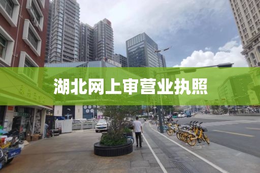 湖北网上审营业执照