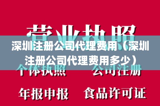 深圳注册公司代理费用（深圳注册公司代理费用多少）