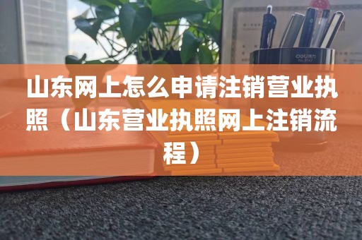 山东网上怎么申请注销营业执照（山东营业执照网上注销流程）