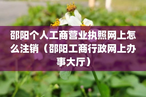 邵阳个人工商营业执照网上怎么注销(邵阳工商行政网上办事大厅)
