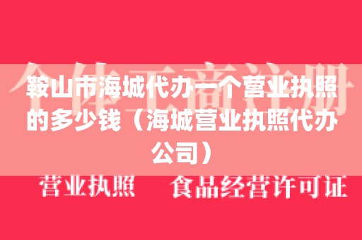 鞍山市海城代办一个营业执照的多少钱（海城营业执照代办公司）