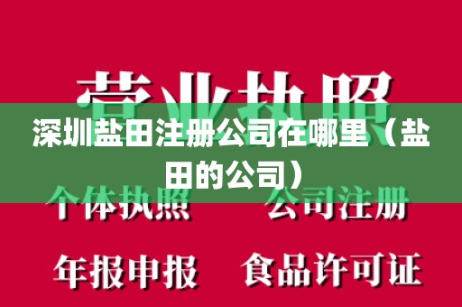 深圳盐田注册公司在哪里(盐田的公司)