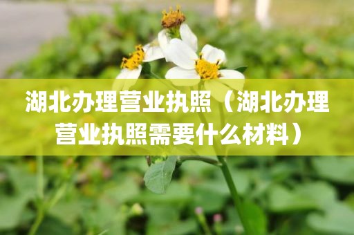湖北办理营业执照（湖北办理营业执照需要什么材料）