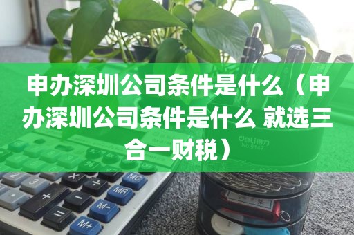 申办深圳公司条件是什么(申办深圳公司条件是什么 就选三合一财税)