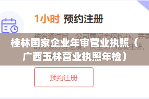 桂林国家企业年审营业执照（广西玉林营业执照年检）