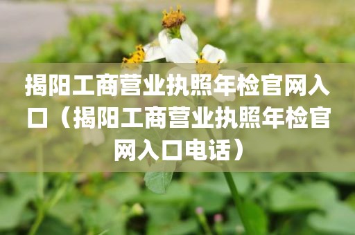 揭阳工商营业执照年检官网入口(揭阳工商营业执照年检官网入口电话)