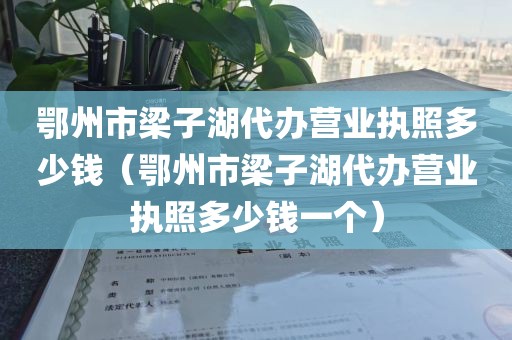 鄂州市梁子湖代办营业执照多少钱（鄂州市梁子湖代办营业执照多少钱一个）