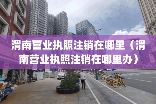渭南营业执照注销在哪里（渭南营业执照注销在哪里办）