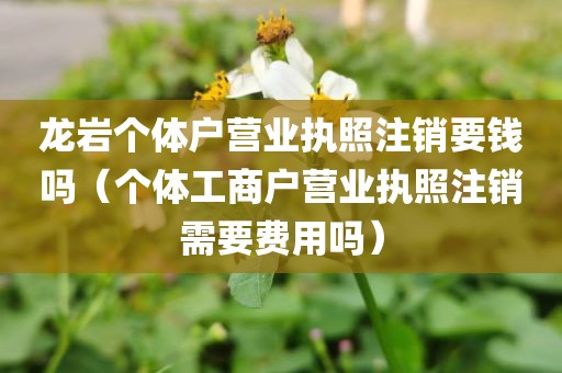 龙岩个体户营业执照注销要钱吗(个体工商户营业执照注销需要费用吗)